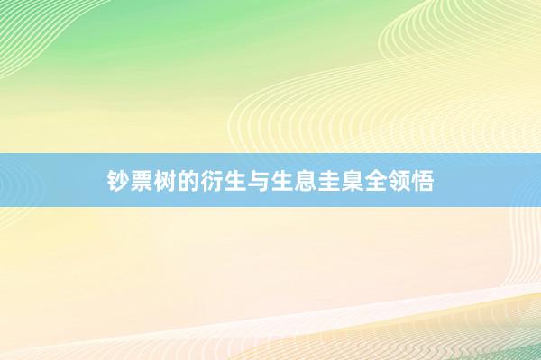 钞票树的衍生与生息圭臬全领悟