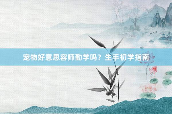 宠物好意思容师勤学吗？生手初学指南