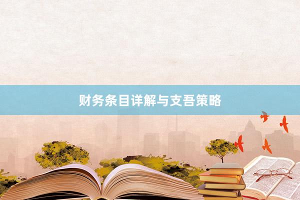 财务条目详解与支吾策略